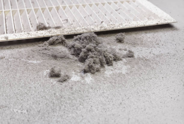 Best Ventilation Cleaning Services  in Nuevo, CA